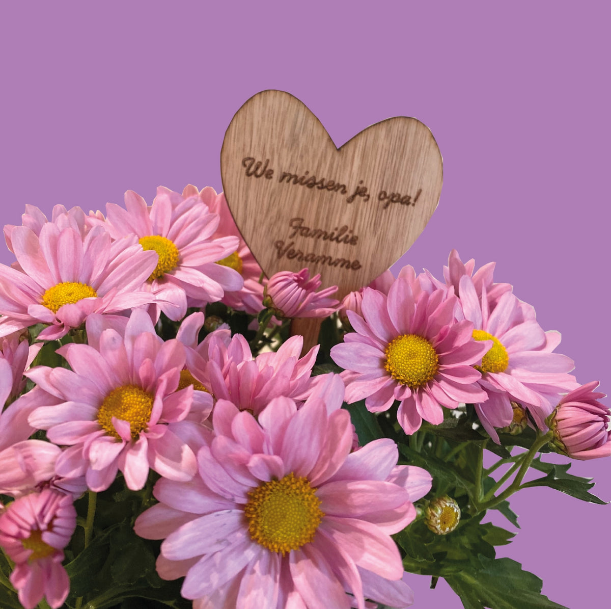 Houten steker bij bloempot