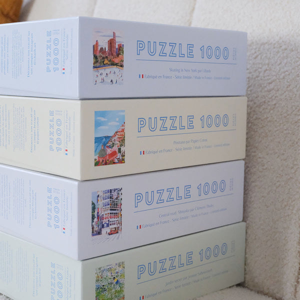 Puzzel - schaatsen in New York