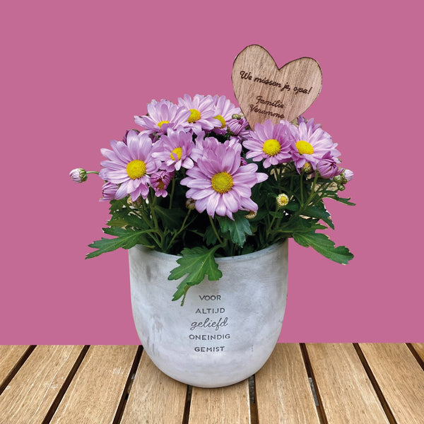 Houten steker bij bloempot