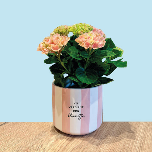 Bloempot Florina M - roze