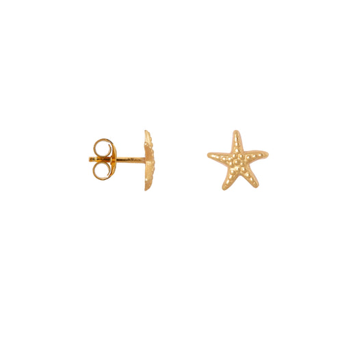 Oorbellen - mini sea star (enkel)