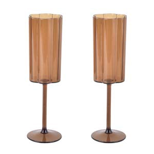 Outdoor champagne glazen (2st)
