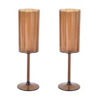 Outdoor champagne glazen (2st)