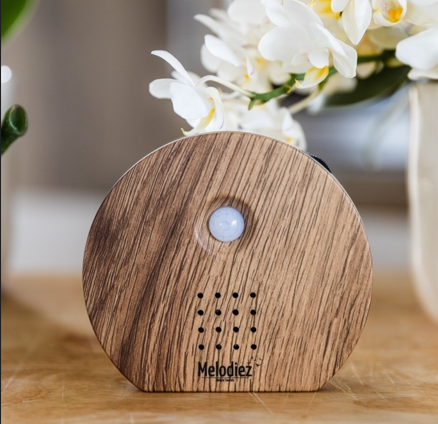 Natuurgeluiden box - Hout
