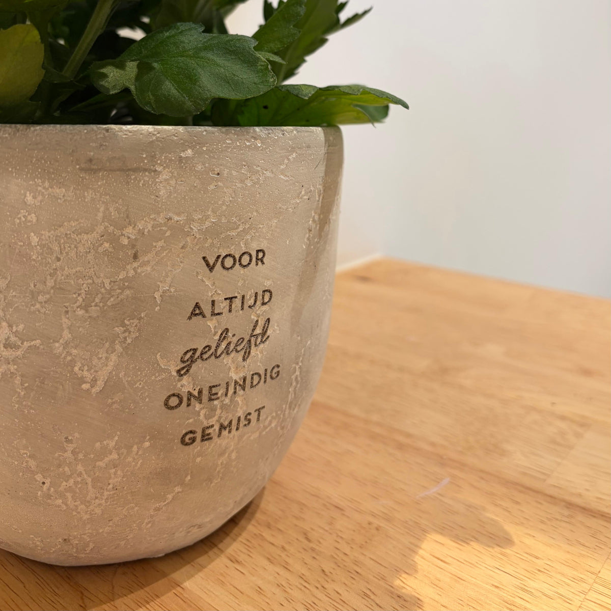 Betonnen bloempot 'voor altijd geliefd ...'