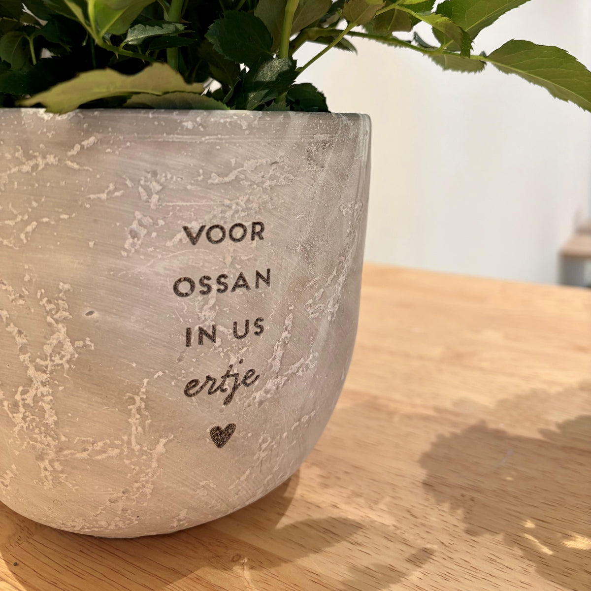 Betonnen bloempot 'voor ossan in us ertje'
