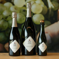 Entre deux monts - blanc de blancs brut - 37,5 cl